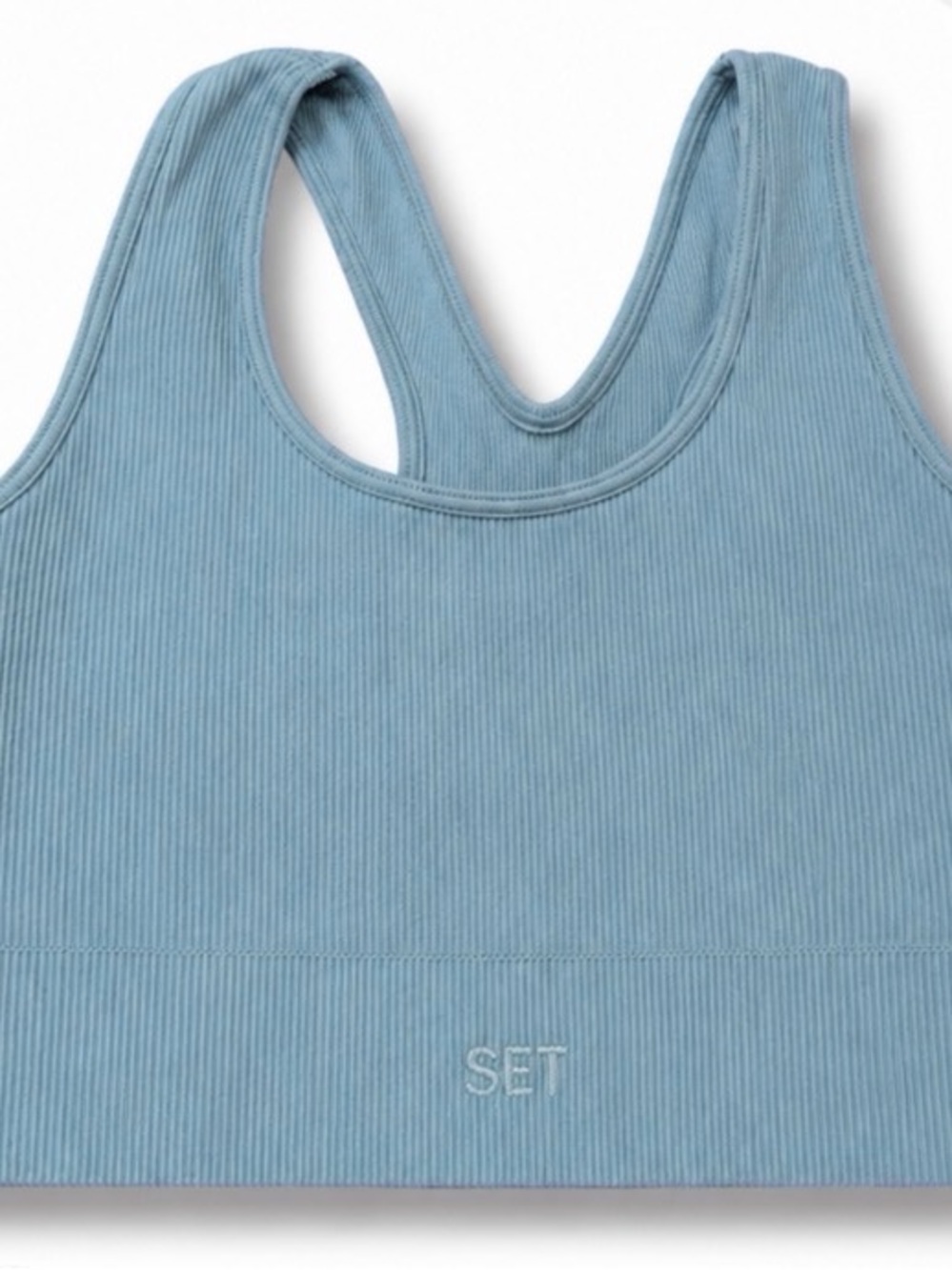 SET ACTIVE x Madelyn Cline Maddie Box Ribbed Bra in Mist Size XS Limited Edition